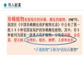 2.4.1  我国的珍稀动植物资源 课件--2024-2025学年冀少版生物七年级上册