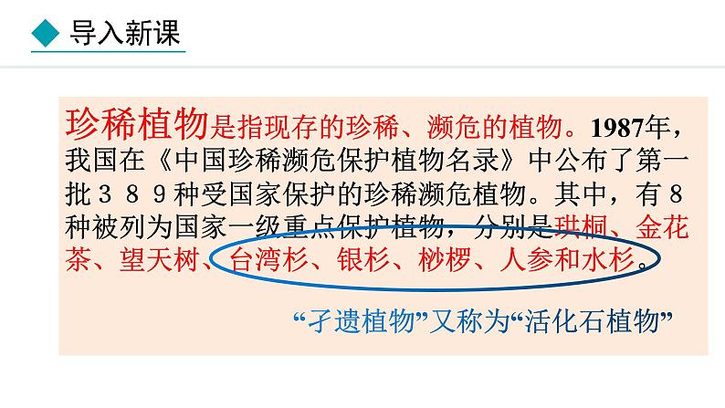 2.4.1  我国的珍稀动植物资源 课件--2024-2025学年冀少版生物七年级上册04