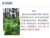 2.4.1  我国的珍稀动植物资源 课件--2024-2025学年冀少版生物七年级上册