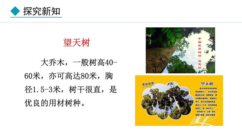 2.4.1  我国的珍稀动植物资源 课件--2024-2025学年冀少版生物七年级上册07