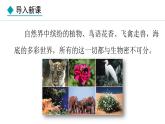 2.4.2  生物资源的保护 课件--2024-2025学年冀少版生物七年级上册