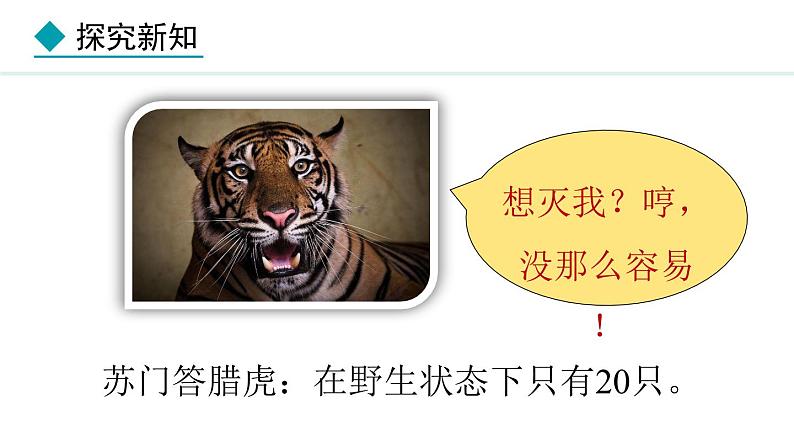 2.4.2  生物资源的保护 课件--2024-2025学年冀少版生物七年级上册05