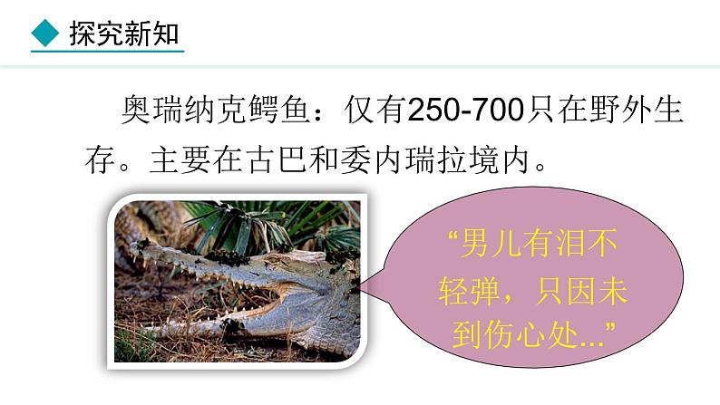 2.4.2  生物资源的保护 课件--2024-2025学年冀少版生物七年级上册07