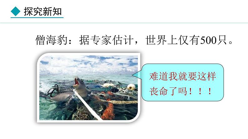 2.4.2  生物资源的保护 课件--2024-2025学年冀少版生物七年级上册08