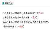 2.4.3  外来物种入侵的防控 课件--2024-2025学年冀少版生物七年级上册