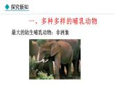 2.2.2  第4课时  哺乳动物 课件-2024--2025学年人教版生物七年级上册