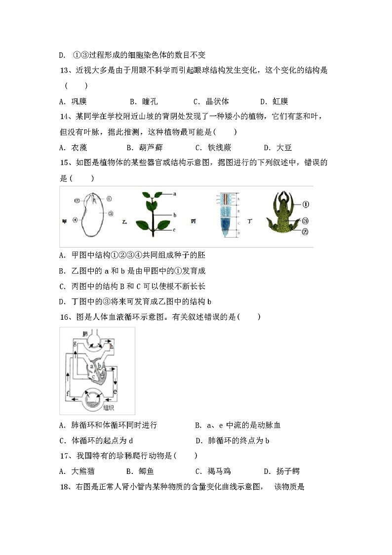 苏教版八年级生物上册期中试卷及答案第3页