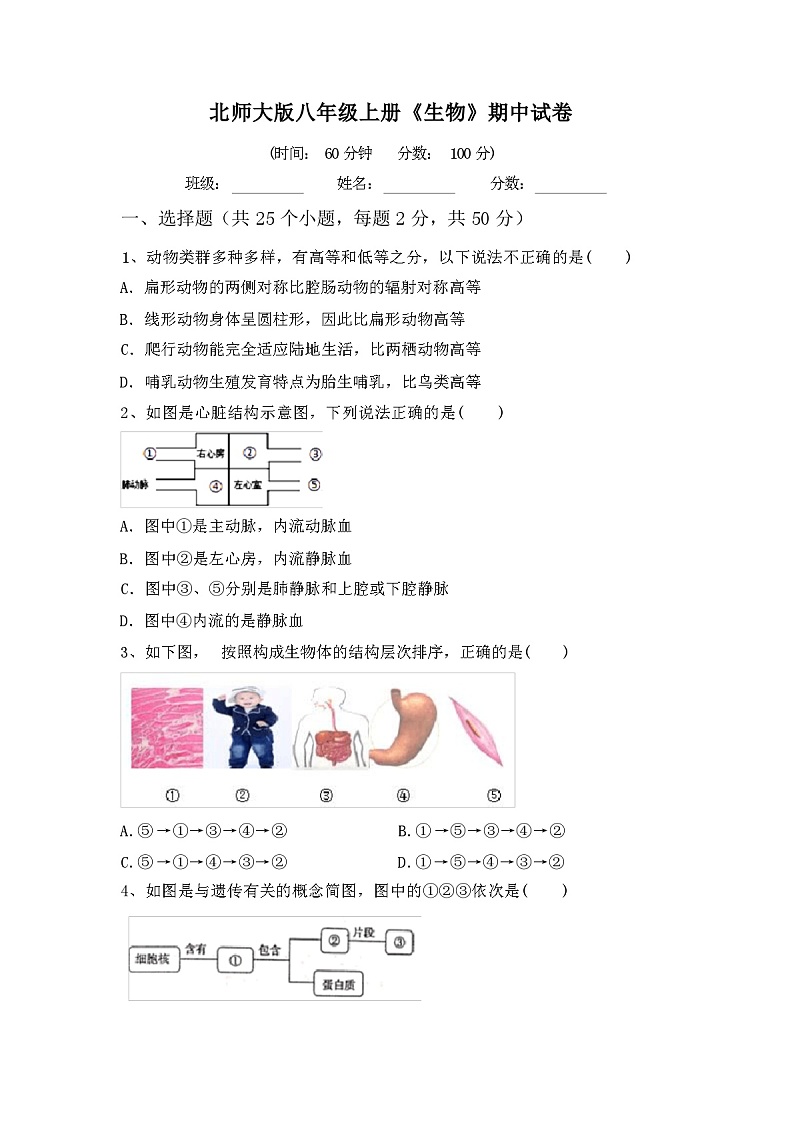 北师大版八年级上册《生物》期中试卷(及参考答案)第1页