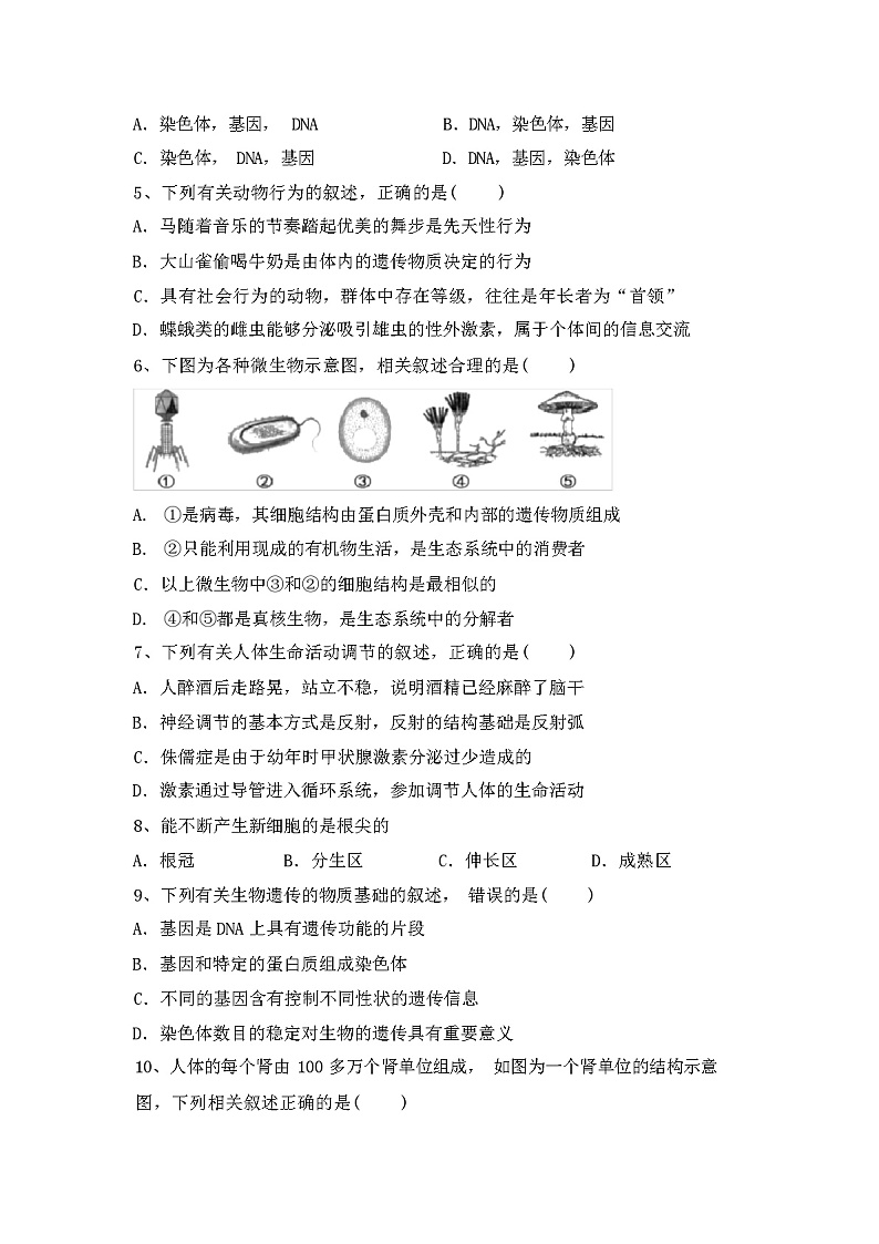 北师大版八年级上册《生物》期中试卷(及参考答案)第2页