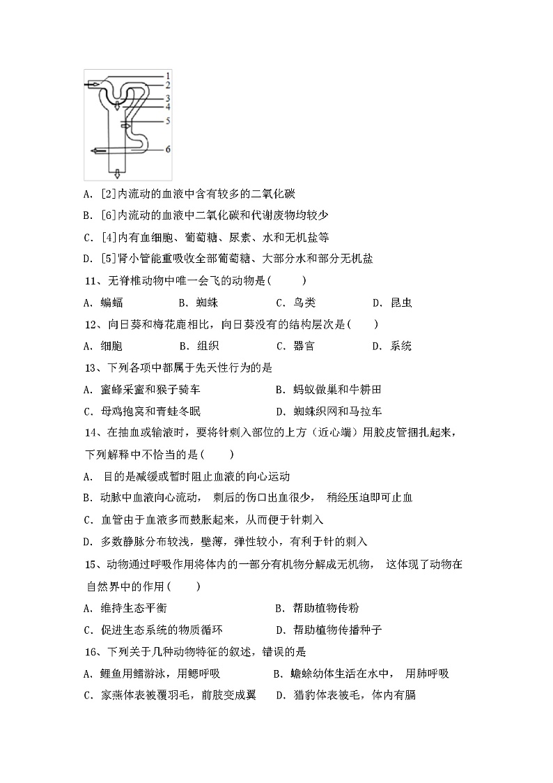 北师大版八年级上册《生物》期中试卷(及参考答案)第3页