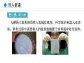 人教版（2024）七年级生物上册课件 1.2.4  细胞的生活