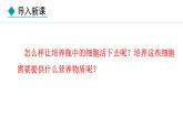 人教版（2024）七年级生物上册课件 1.2.4  细胞的生活