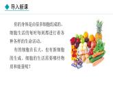 人教版（2024）七年级生物上册课件 1.2.4  细胞的生活