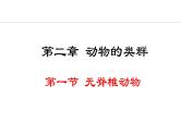 人教版（2024）七年级生物上册课件 2.2.1  无脊椎动物