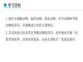 人教版（2024）七年级生物上册课件 2.2.1  无脊椎动物