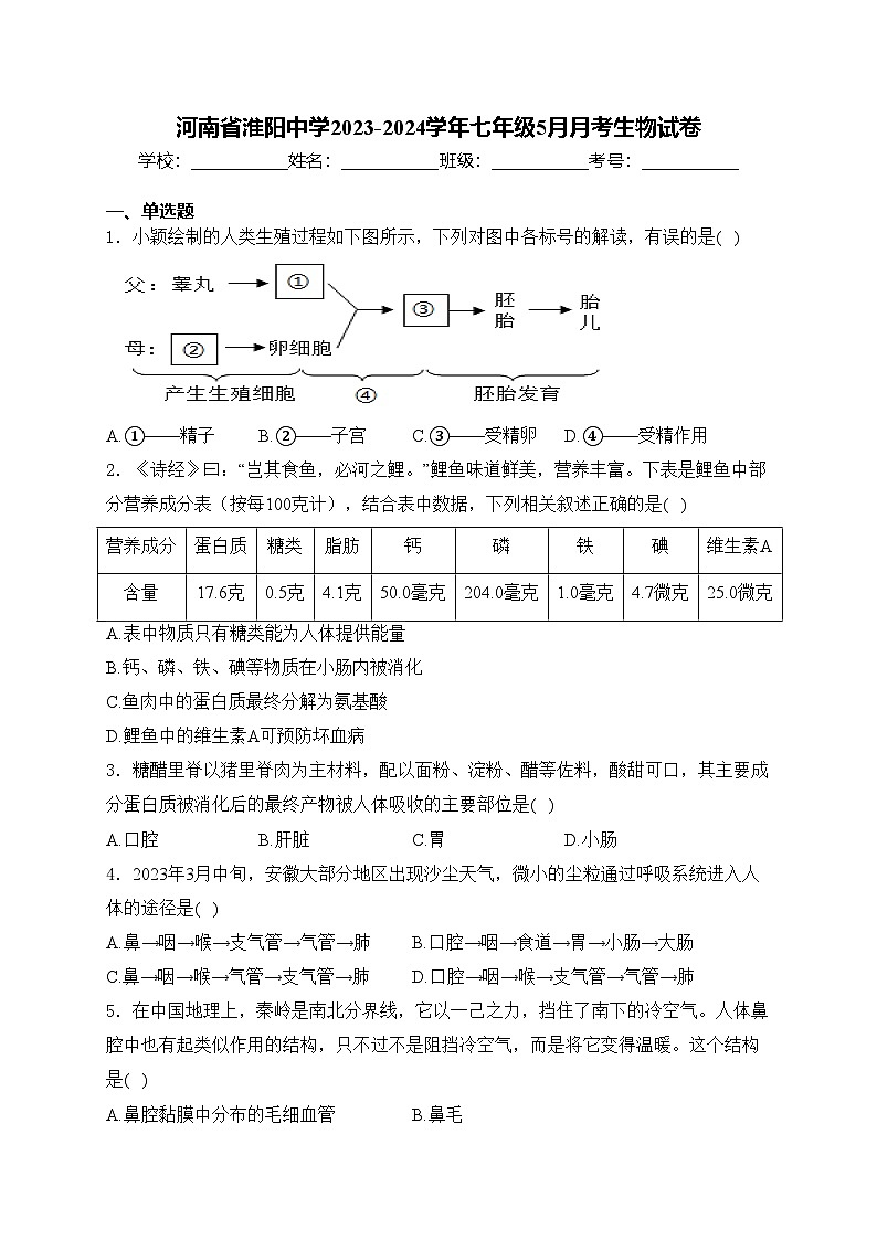 河南省淮阳中学2023-2024学年七年级5月月考生物试卷(含答案)01
