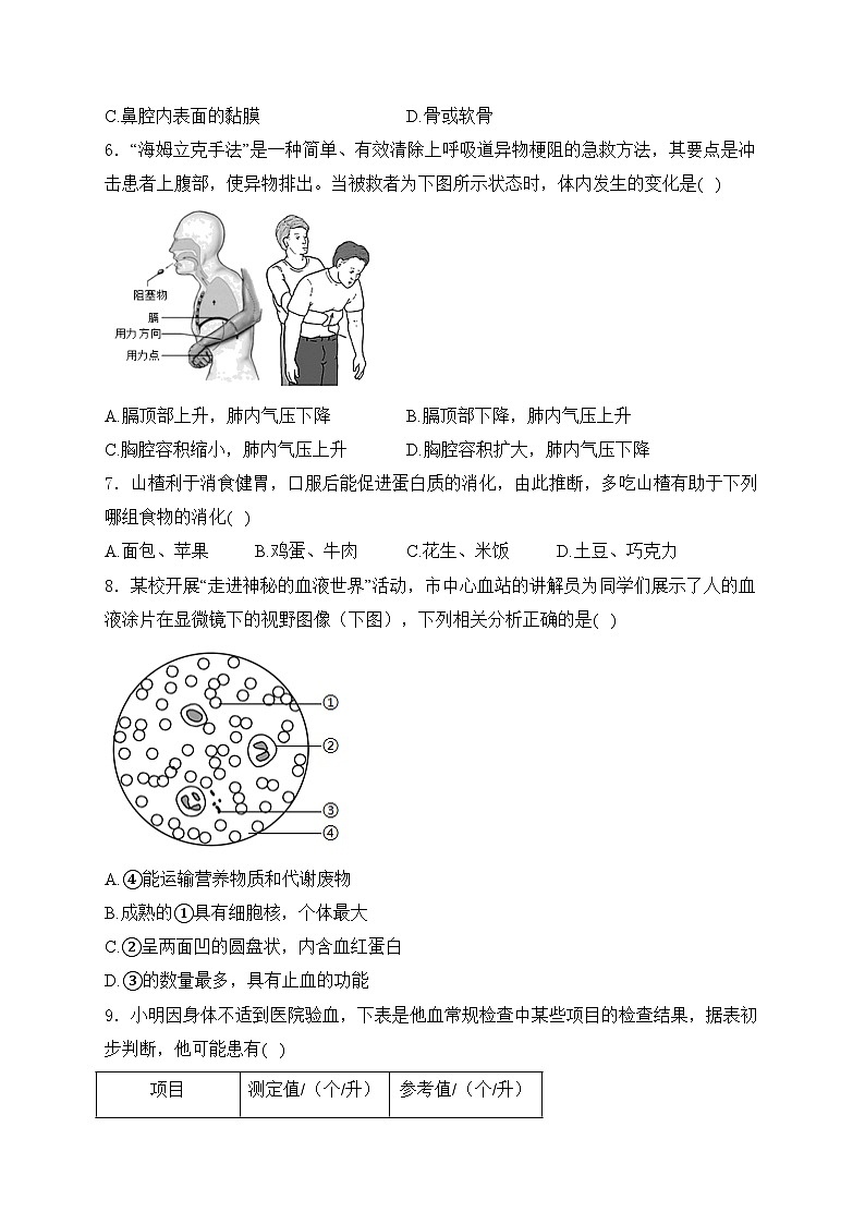 河南省淮阳中学2023-2024学年七年级5月月考生物试卷(含答案)02