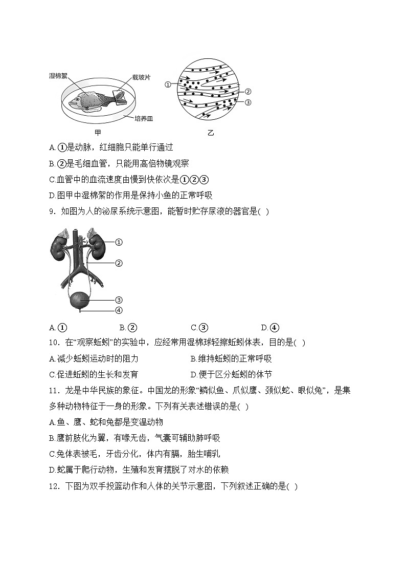 吉林省延边州2023-2024年八年级下学期教学质量检测（月考）生物试卷(含答案)03