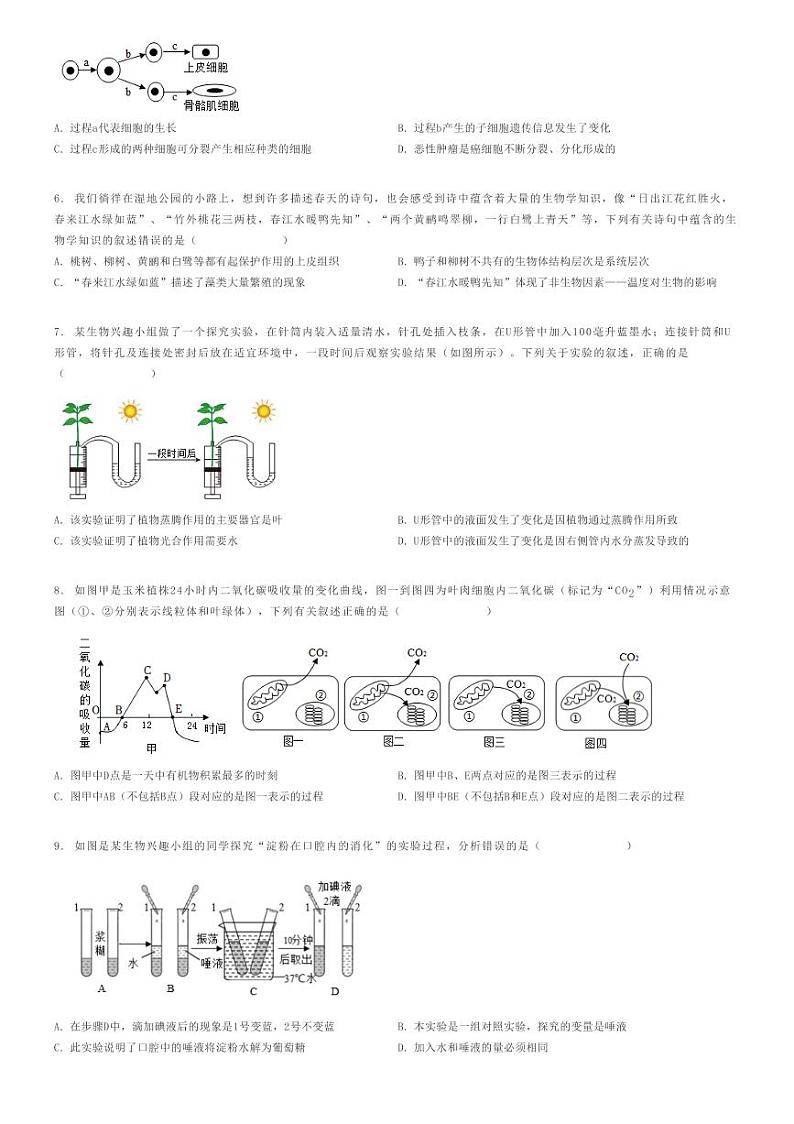 [生物][二模]2024年山东聊城阳谷县中考二模生物试卷(原题版+解析版)02