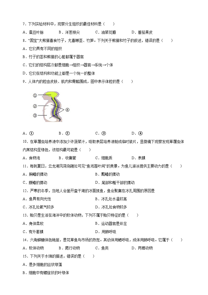 江苏省徐州市2023-2024学年七年级下学期期末生物学试题（含答案解析）02