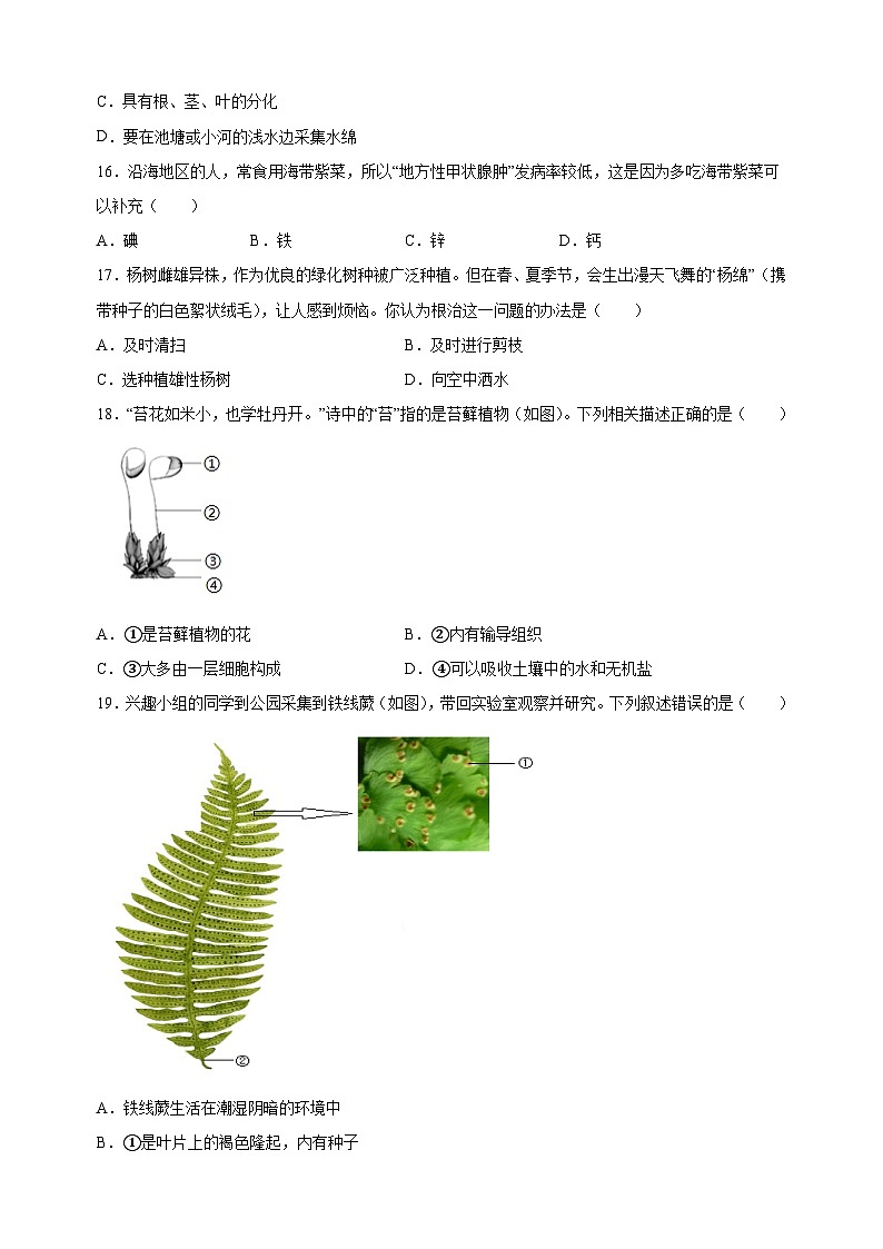 江苏省徐州市2023-2024学年七年级下学期期末生物学试题（含答案解析）03