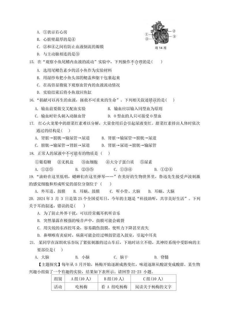 [生物][期末]广东省汕头市澄海区2023～2024学年七年级下学期期末考试生物试题(有答案)第3页
