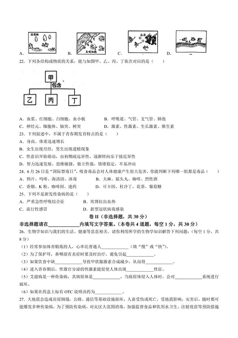 [生物][期末]河北省保定市定州市2023～2024学年七年级下学期期末考试生物试卷(有答案)第3页