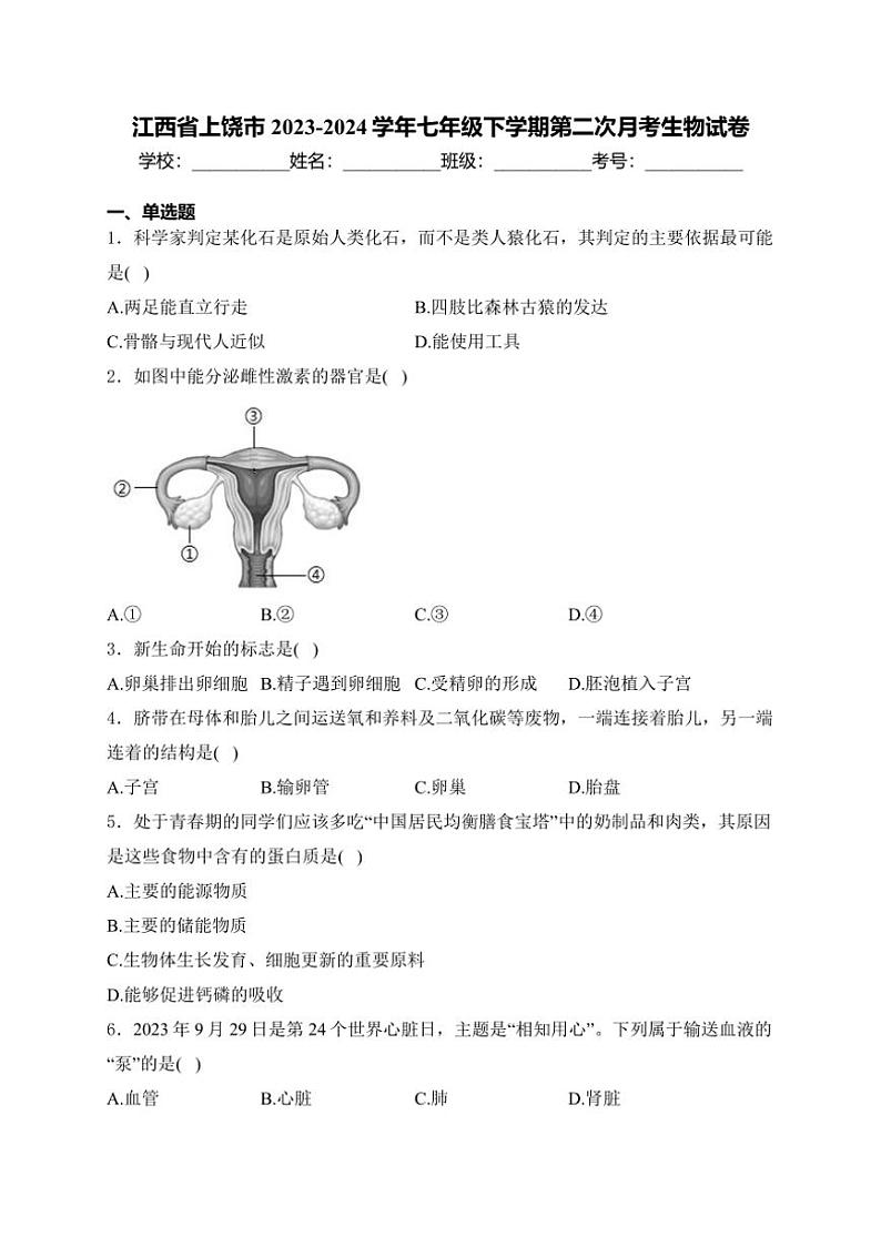[生物]江西省上饶市2023～2024学年七年级下学期第二次月考生物试卷(有答案)01