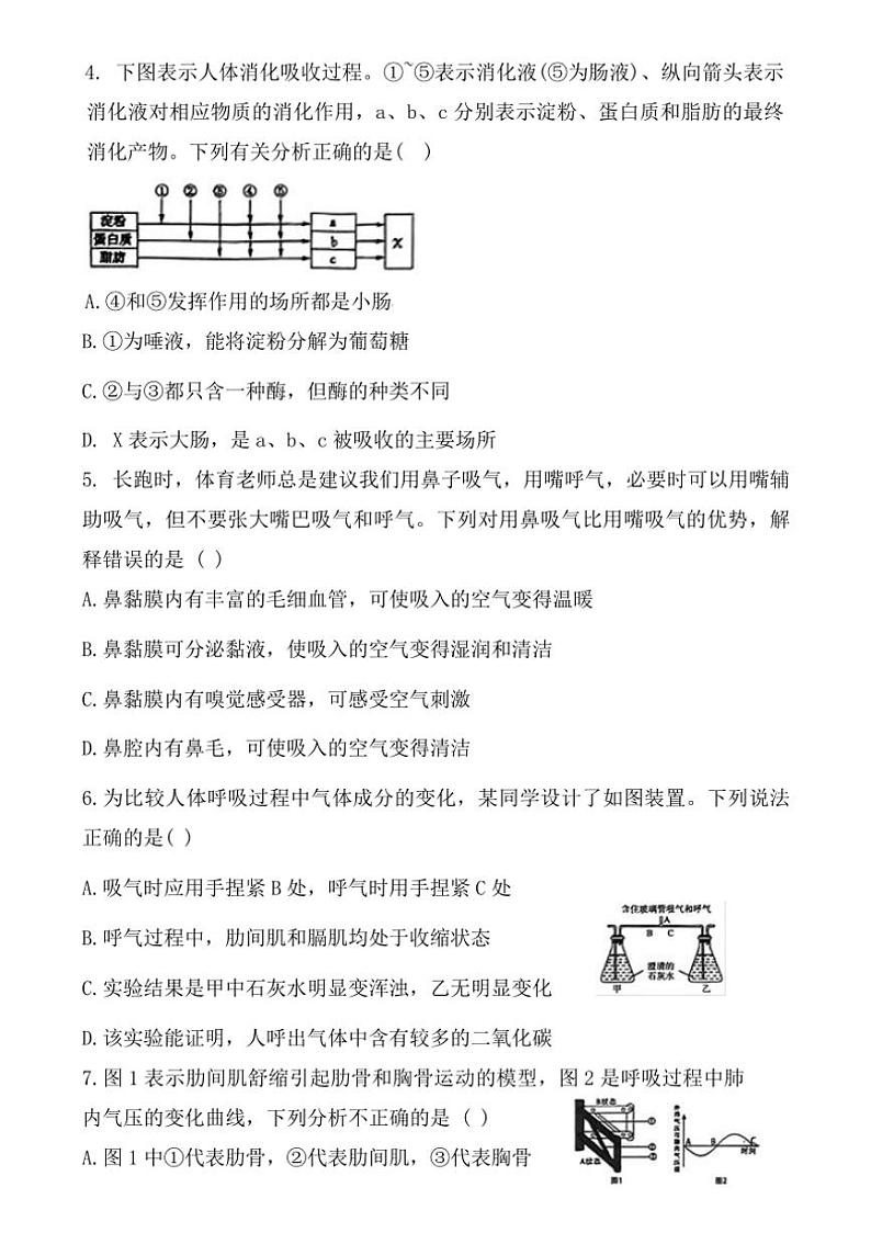 [生物][期末]山东省德州市平原县2023～2024学年七年级下学期期末考试七年级生物试题(有答案)第2页