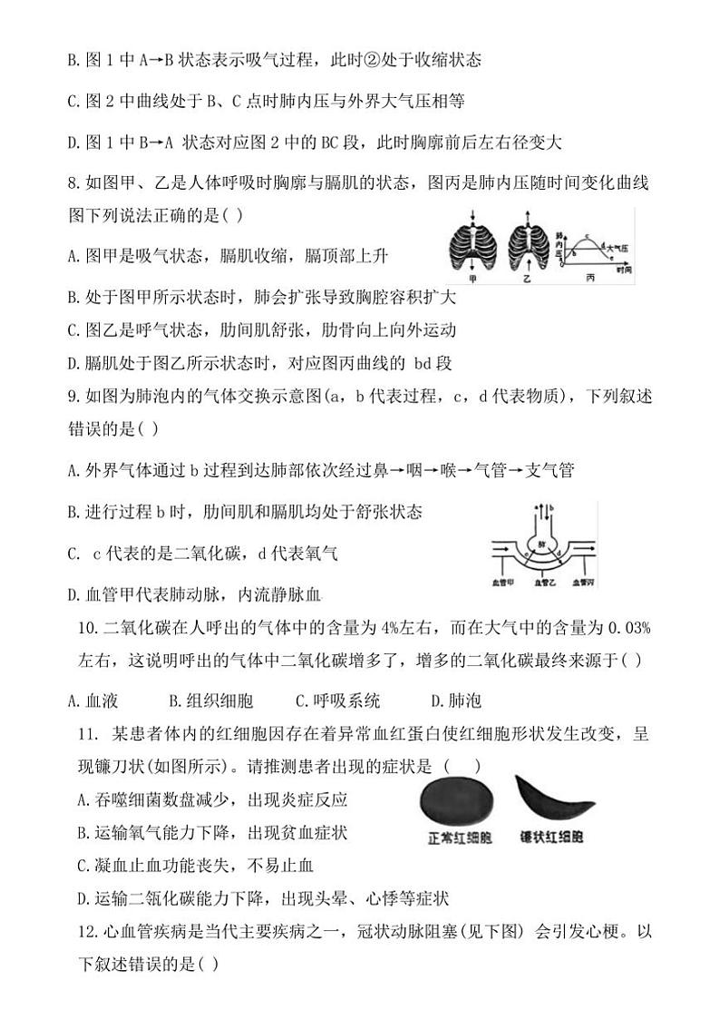[生物][期末]山东省德州市平原县2023～2024学年七年级下学期期末考试七年级生物试题(有答案)第3页