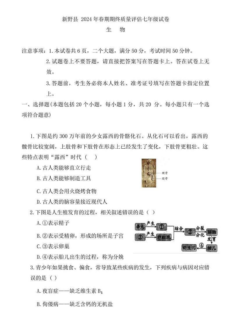 [生物][期末]河南省南阳市新野县2023～2024学年七年级下学期期末生物试题(有答案)01