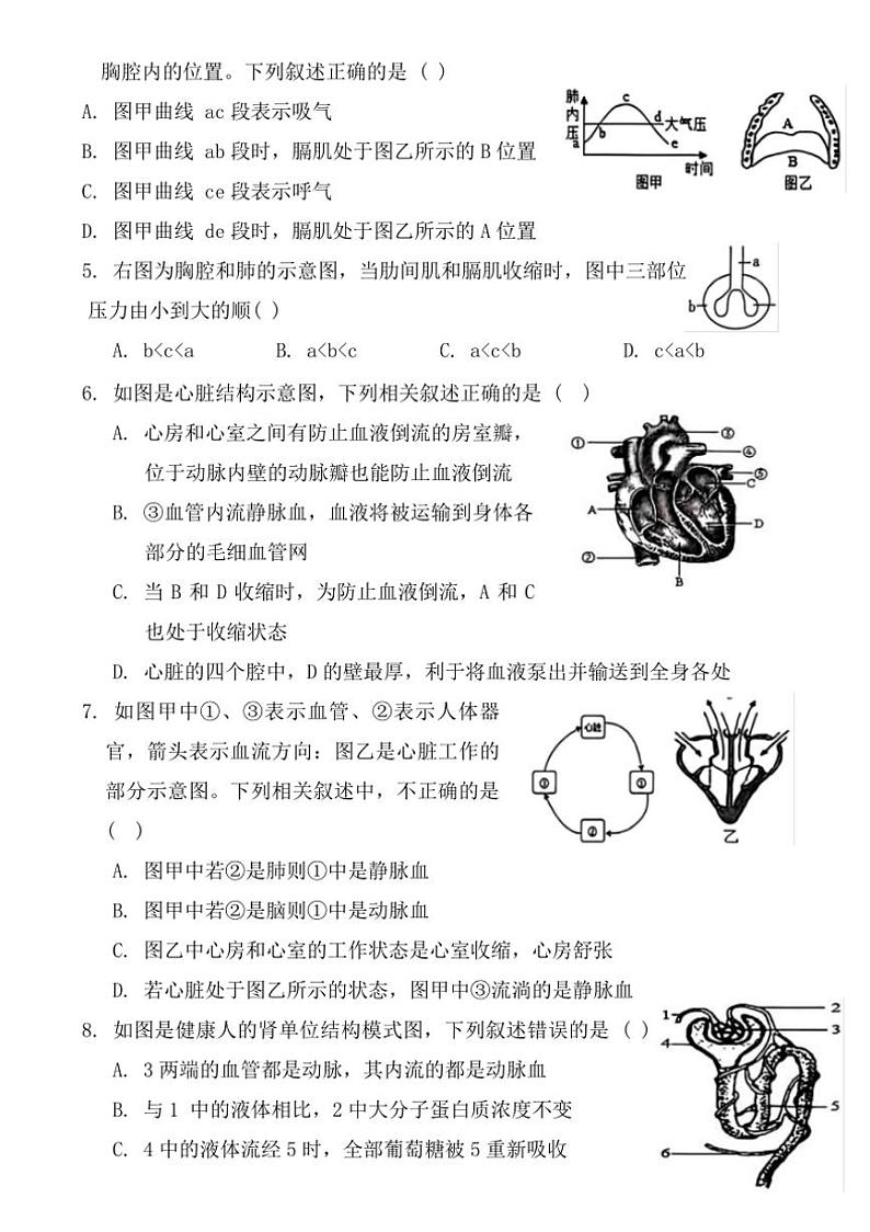 [生物][期末]山东省菏泽市牡丹区2023～2024学年七年级下学期期末生物试题(有答案)第2页