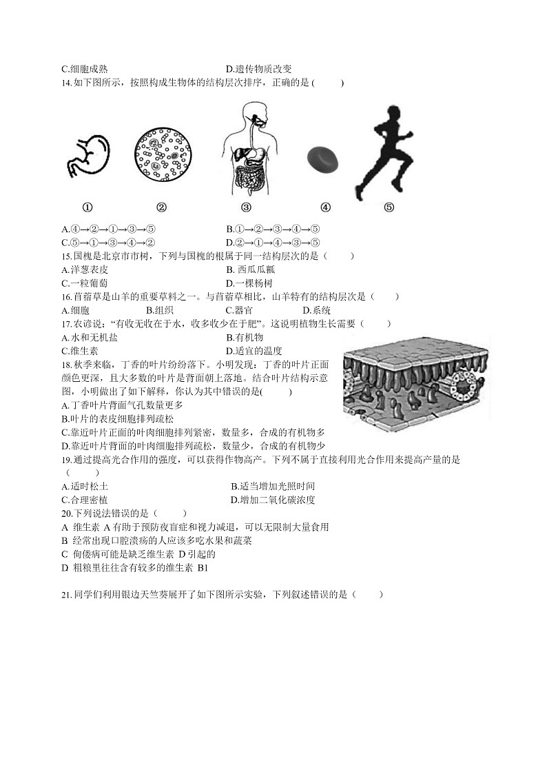 [生物]2020北京十一学校初三下学期4月月考生物试卷第3页