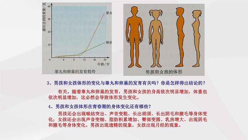 鲁教版（五四制）初中生物七年级上册 第1章 第3节 青春期 课件06