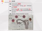 鲁教版（五四制）初中生物七年级上册 第1章 人的由来复习  课件