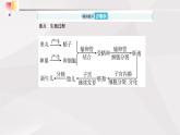 鲁教版（五四制）初中生物七年级上册 第1章 人的由来复习  课件
