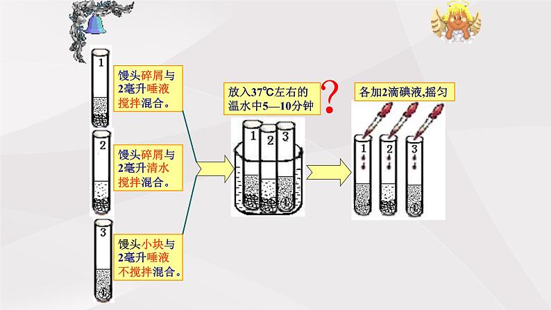 鲁教版（五四制）初中生物七年级上册 第2章 第2节 消化和吸收 课件07