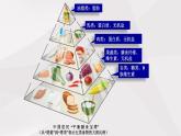 鲁教版（五四制）初中生物七年级上册 第2章 第3节 合理营养与食品安全 课件