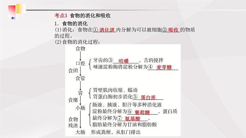 鲁教版（五四制）初中生物七年级上册 第2章 人体的营养复习 课件06