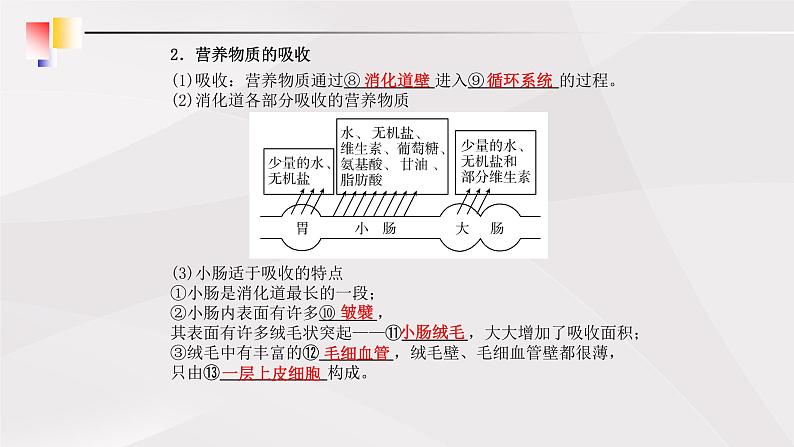 鲁教版（五四制）初中生物七年级上册 第2章 人体的营养复习 课件07