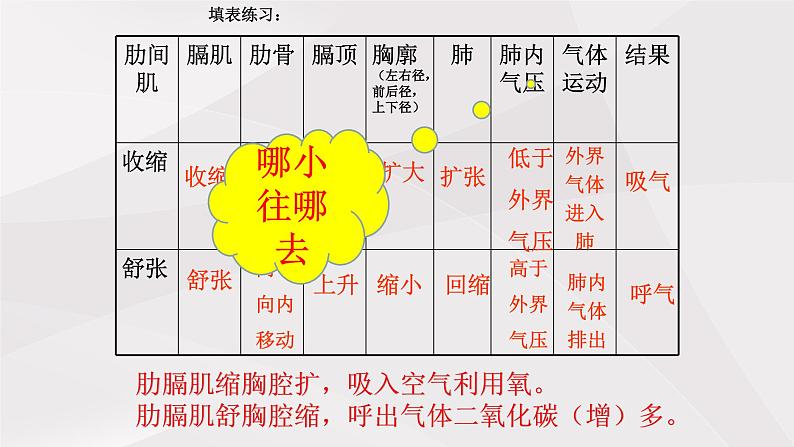 鲁教版（五四制）初中生物七年级上册 第3章 第2节 第2课时  发生在肺内的气体交换  课件02