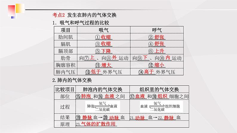 鲁教版（五四制）初中生物七年级上册 第3章 人体的呼吸复习  课件05