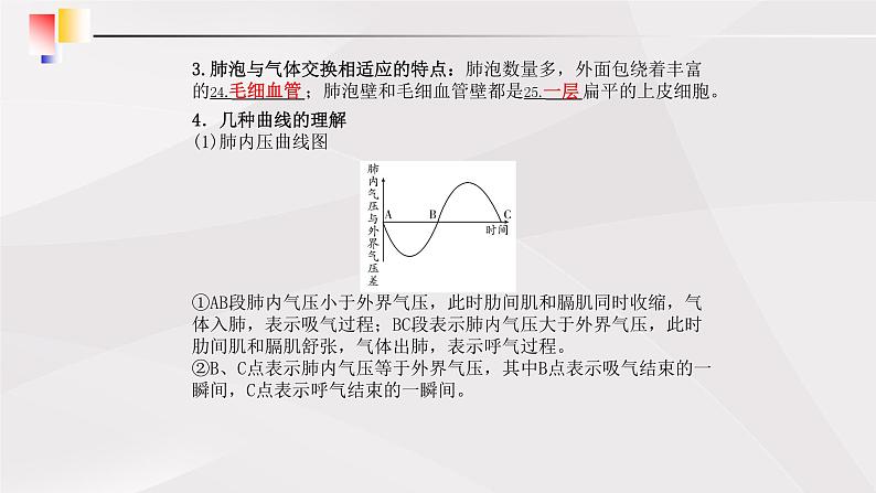 鲁教版（五四制）初中生物七年级上册 第3章 人体的呼吸复习  课件06