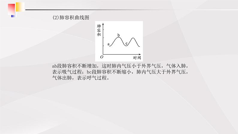 鲁教版（五四制）初中生物七年级上册 第3章 人体的呼吸复习  课件07