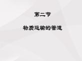 鲁教版（五四制）初中生物七年级上册 第4章 第2节 物质运输的管道  课件