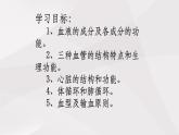 鲁教版（五四制）初中生物七年级上册 第4章 人体内物质的运输复习  课件