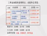 鲁教版（五四制）初中生物七年级上册 第4章 人体内物质的运输复习  课件