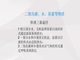 鲁教版（五四制）初中生物七年级上册 第5章 人体内废物的排出复习  课件