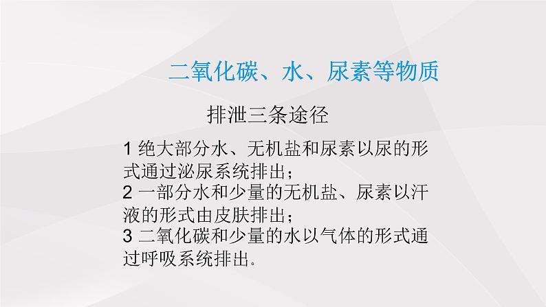 鲁教版（五四制）初中生物七年级上册 第五章 人体内废物的排出复习  课件第4页