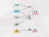 鲁教版（五四制）初中生物七年级上册 第5章 人体内废物的排出复习  课件